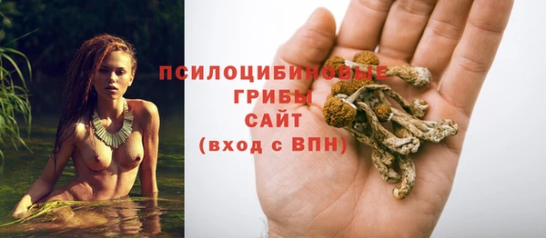 ALPHA PVP Зеленокумск