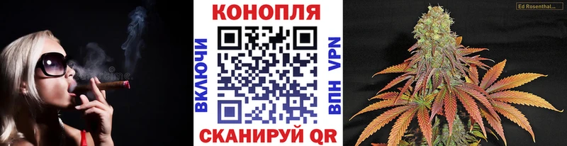 Канабис LSD WEED  купить  цена  Каменногорск 